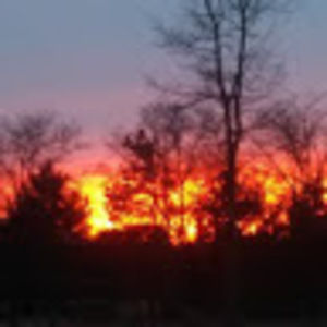 Meet your Posher, Baubbi jo